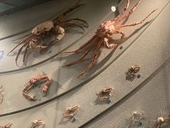 -中国湿地博物馆