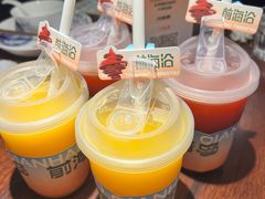 -前海沿·青岛菜(五四广场永旺店)