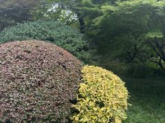 -中国茶叶博物馆(双峰馆区)