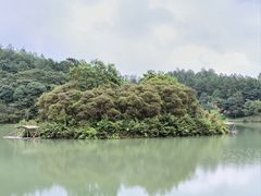 -广州白江湖森林公园