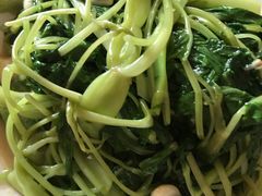 -新湛拱(兰埔路店)