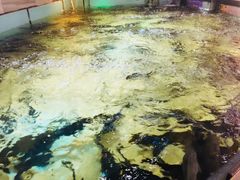 -楚鱼王·河鲜·湖北菜(华农店)