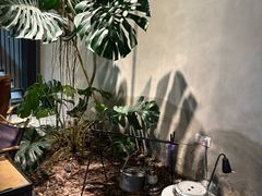 -J Create城市露营咖啡·简餐·宠物(上海动物园店)