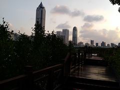 -万绿园