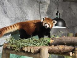 -Zoolung Zoolung动物主题公园(海信广场店)