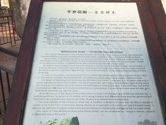 -海口骑楼小吃街