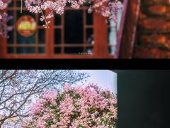 -报国寺