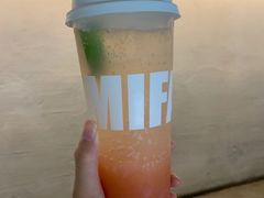 蜜桃肉肉苏打-MIMI FASO(古仓店)