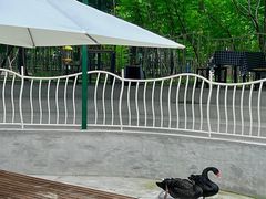 -俄罗斯风情小镇
