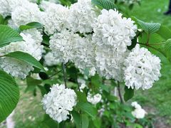 -玄武湖景区-情侣园游乐场