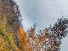 -光雾山旅游景区