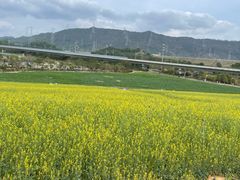 -光明小镇欢乐田园