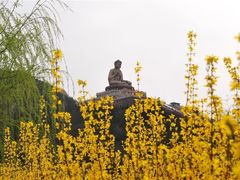 -龙口南山旅游景区