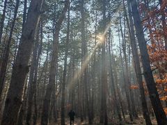 -帽儿山国家森林公园