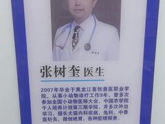 -天时宠物医院24小时疑难病例会诊中心(顾乡大街总院)