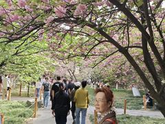 -上海青龙寺
