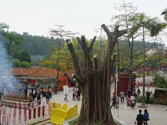 -南国桃园旅游度假区