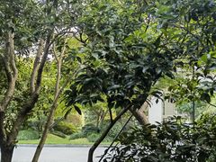 -浙江西子宾馆·牡丹厅