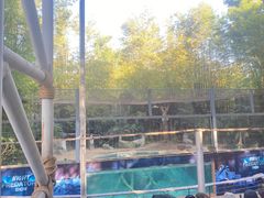 -清迈夜间动物园