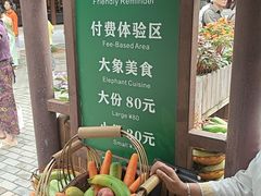 -野象谷景区
