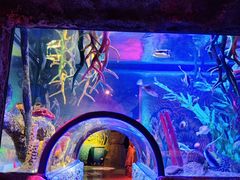 -沈阳海洋探索中心