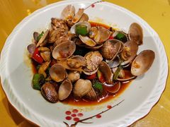 辣炒花甲-HOHO餐厅(古子城店)