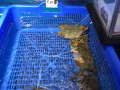-盒马鲜生(岭南新世界店)
