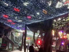 -横店影视城梦幻谷园区