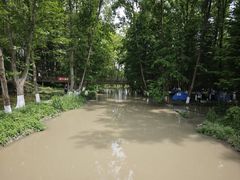 -桤木河湿地公园