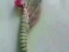 -汤沐邑温泉会馆