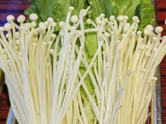 -沙胆彪炭炉牛杂煲(成都玉林店)