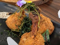 -百好乐宠物友好餐厅(朝外大街店)