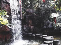 -广州市流溪河国家森林公园