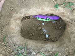 -瑞鹏宠物医院·爱宠堂·骨外专科(西荷分院)