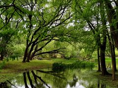 -共青国家森林公园-售票处