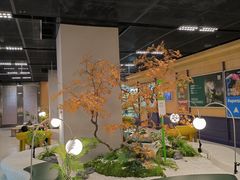 -帕帕拉兹宠物(亚洲旗舰店)