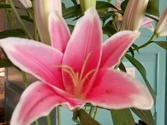 -南堂馆·新川菜(春熙路店)