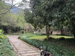 -黄公望隐居地