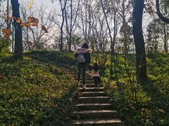 -西安市长乐公园