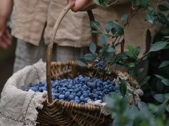 -金谷域澳洲庄园