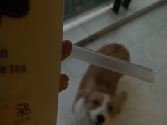 -茶百道(SKLP新光里+店)