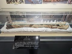 -巴音郭楞蒙古自治州博物馆