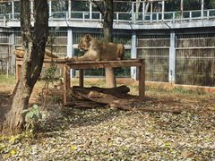 -昆明动物园