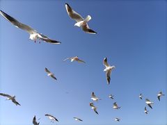 -海埂大坝