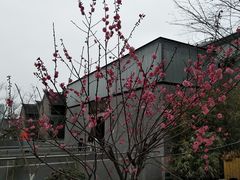 -回龙窝历史文化街区