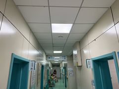 -北京观赏动物医院·24小时大型综合·猫专科·异宠专科