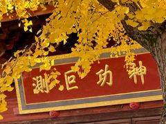 -上海青龙寺