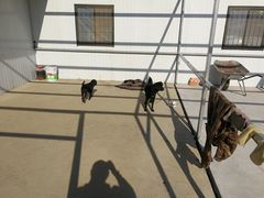 -胜丰草莓采摘园