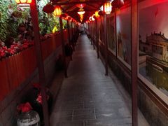 -窄巷子陕菜馆·地道陕西菜(粉巷店)