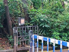 -深圳华侨城医院